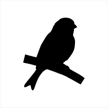 recommend clip art: Sitting finch on branch silhouette isolated on white background. Finch icon vector illustration design.