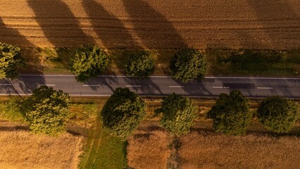 Aerial view of a Scenic road though the field.