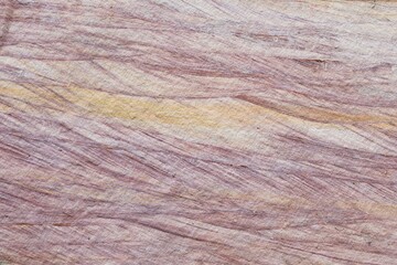 Closeup of the texture of a natural wooden surface