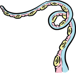 Cartoon octopus Tentacle Cthulhu Clipart