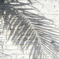 Palm Tree Shadows on White Brick Wall Texture, palm branch at sunlight, foliage pattern, tropic plant silhouette