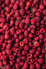 Raspberry berries texture background, Rubus idaeus fruits pattern, many red-fruited raspberries mockup