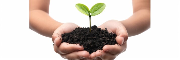 Plant in hands isolated, young sprout, new plant growing in soil, organic farming, environment care, earth day