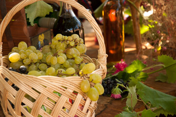 Wicker basket full of white grapes, bottles of wine in the background, feast, celebration