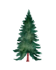 Watercolor green Christmas tree on white background. Fir tree watercolor vector