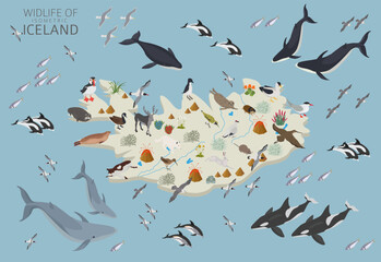 Isometric design of Iceland wildlife. Animals, birds and plants constructor elements isolated on white set. North Atlantic nature