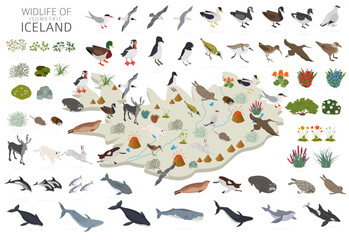 Isometric design of Iceland wildlife. Animals, birds and plants constructor elements isolated on white set. North Atlantic nature