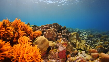 tranquil underwater scene with copy space