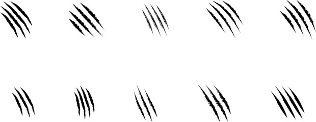 Animal Claw scratches icon vector. Vector illustration of animal claw scratches isolated on transparent background