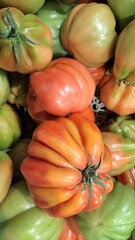 pomodori