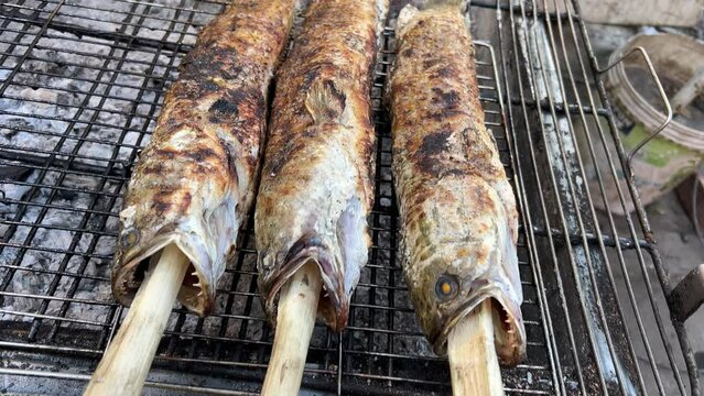 Juicy grilled mackerel fish inside grill grid on charcoal brazier with rising smoke. Fish preparation using outdoor barbecue grill