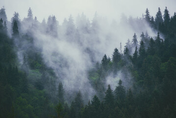 Misty mountain landscape