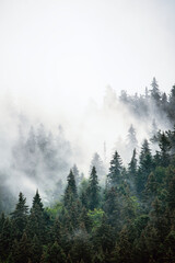 Misty mountain landscape