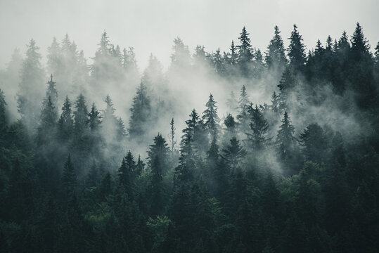 Fototapeta Misty mountain landscape