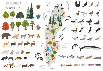 Sweden wildlife geography. Animals, birds and plants constructor elements isolated on white set. Swedish nature infographic
