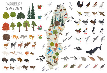 Sweden wildlife isometric geography. Animals, birds and plants constructor elements isolated on white set. Swedish nature infographic