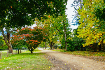 Fototapeta premium Rural Town of Jamieson in Australia