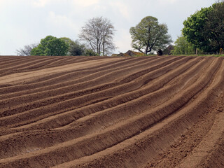 View uphill along furrow lines, Derbyshire England

