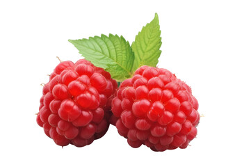 raspberry with leaf isolated 