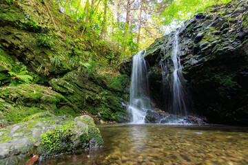 城山川の上流にある御主殿の滝。
戦国時代の悲しい逸話がある。
日本国東京都八王子市、八王子城跡にて。
2024年5月撮影。
Goshuden Falls is located in the upper reaches of the Shiroyama River.
There is a sad anecdote from the Warring States period.
