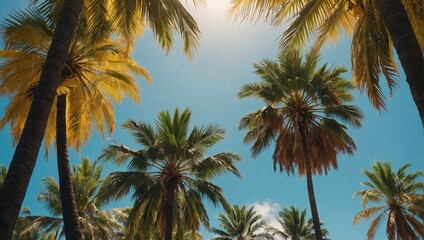 Summer background with palms and sun high palm trees and bright sun on yellow and blue background