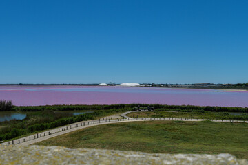 Les salins du midi