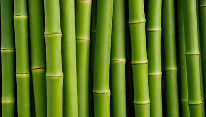 Fototapeta premium Close-up view of numerous green bamboo sticks tightly clustered together