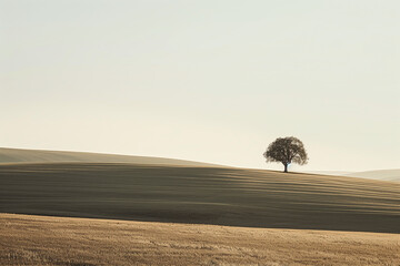 minimalist countryside landscape with a tree