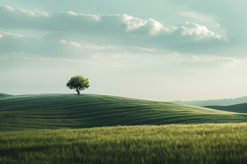 minimalist countryside landscape with a tree