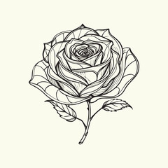 vector illustration of a beautiful flower on a white background.