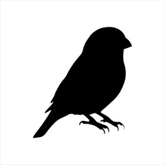 Gouldian finch silhouette isolated on white background. Finch icon vector illustration design.