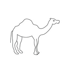 camel cartoon illustration