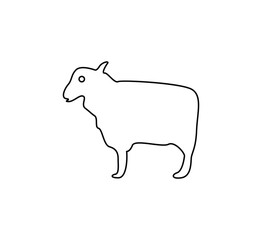 illustration of a sheep