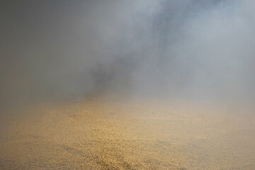 Malted barley grains with smoke around it in a distillery kiln in Scotland. The barley is dried...