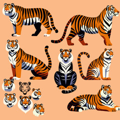 Indian tigers set vector art. 