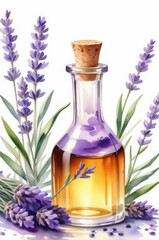 Lavender oil. Watercolor style.