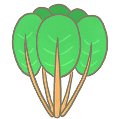 R:もっとメルヘンな野菜　スイスチャード②