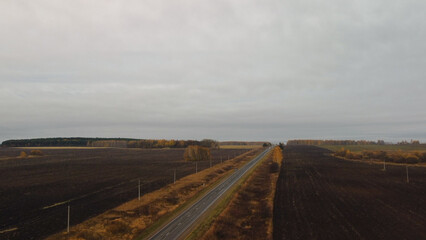 the car is driving along the highway among the autumn fields