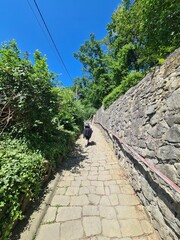 walking through Loschwitz, a beautiful area of Dresden (the capital of Saxony, Germany)
