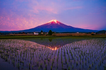 忍野村から富士山と朝焼け © 文明 金本