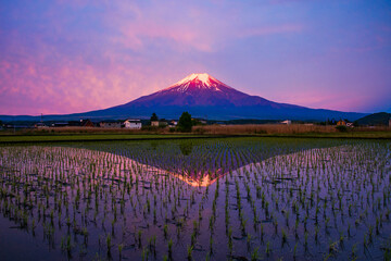 忍野村から富士山と朝焼け