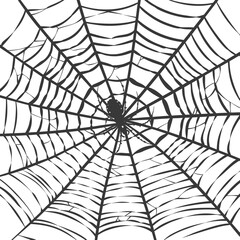 Obraz premium spider web black color only