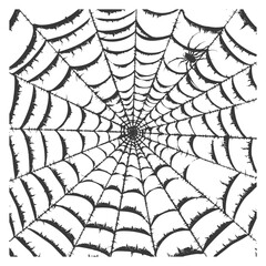 Obraz premium spider web black color only