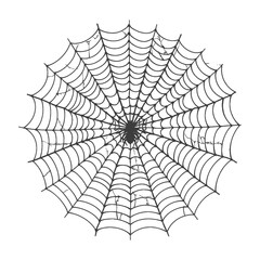 Fototapeta premium spider web black color only