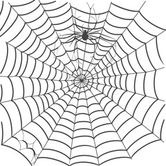 spider web black color only