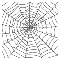 Obraz premium spider web black color only