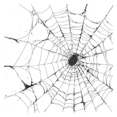 Fototapeta premium spider web black color only