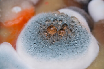 Mold and bacteria in cookware
