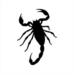 Black emperor scorpion silhouette isolated on white background. Scorpion icon vector illustration design.