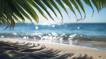 Palm tree casting a shadow on a sunlit shore, focus on, tropical paradise, ethereal, Overlay, beachside backdrop